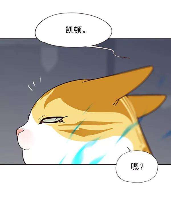 觉醒吧，铲屎官！57话