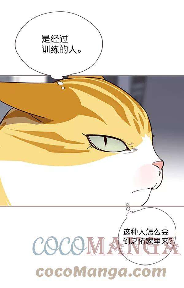 觉醒吧，铲屎官！57话