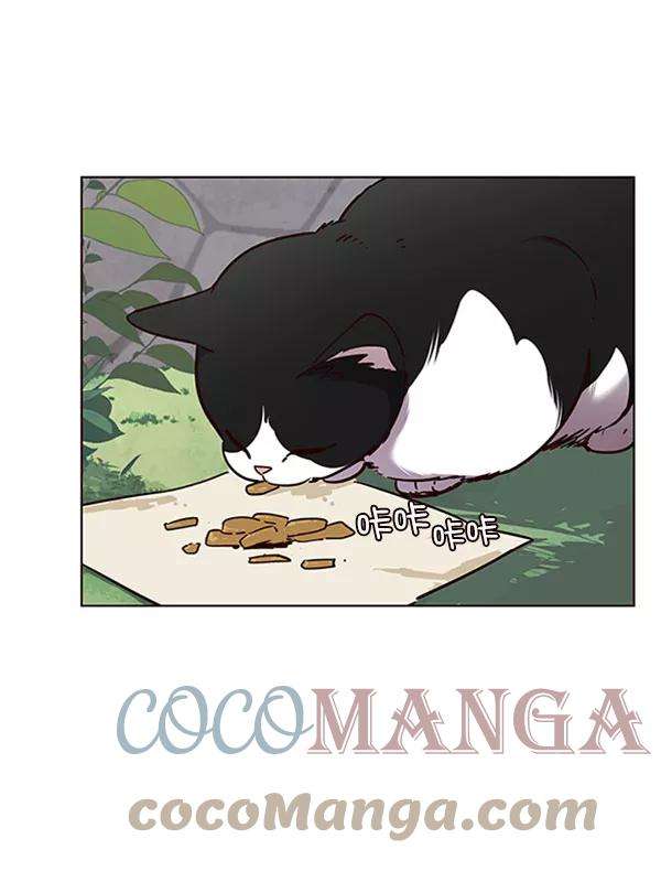 觉醒吧，铲屎官！57话