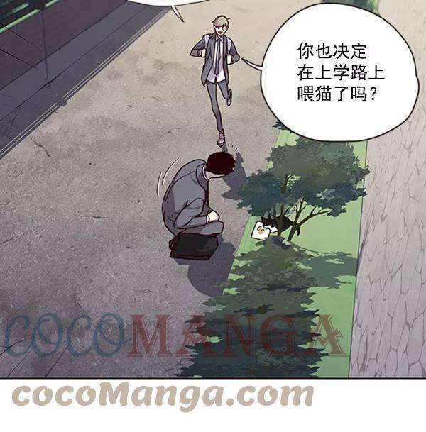 觉醒吧，铲屎官！57话