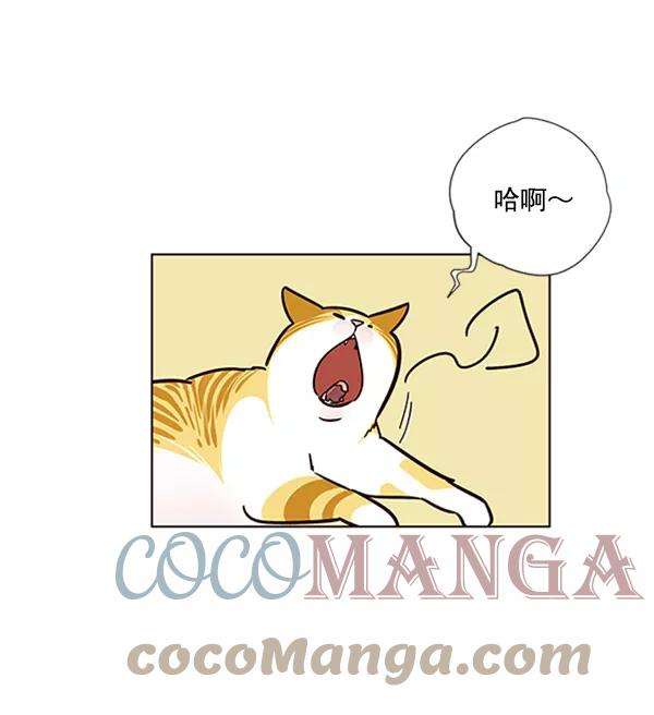 觉醒吧，铲屎官！57话
