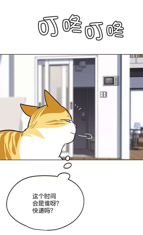觉醒吧，铲屎官！57话