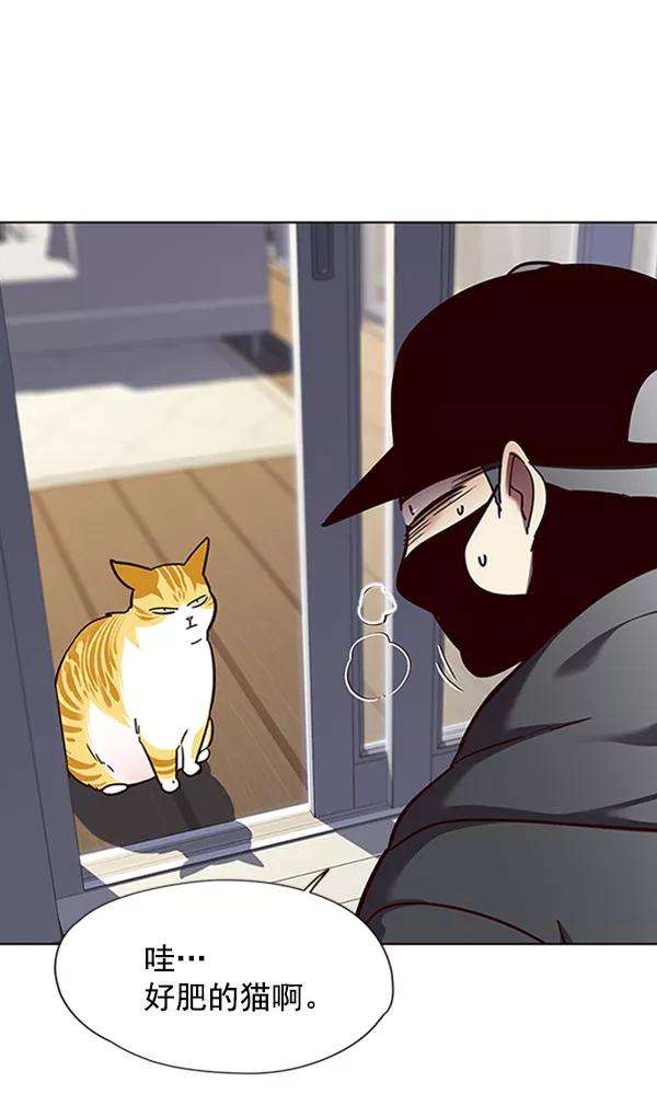 觉醒吧，铲屎官！57话