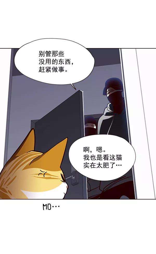 觉醒吧，铲屎官！57话