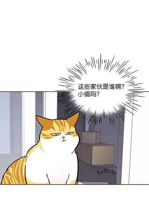 觉醒吧，铲屎官！57话
