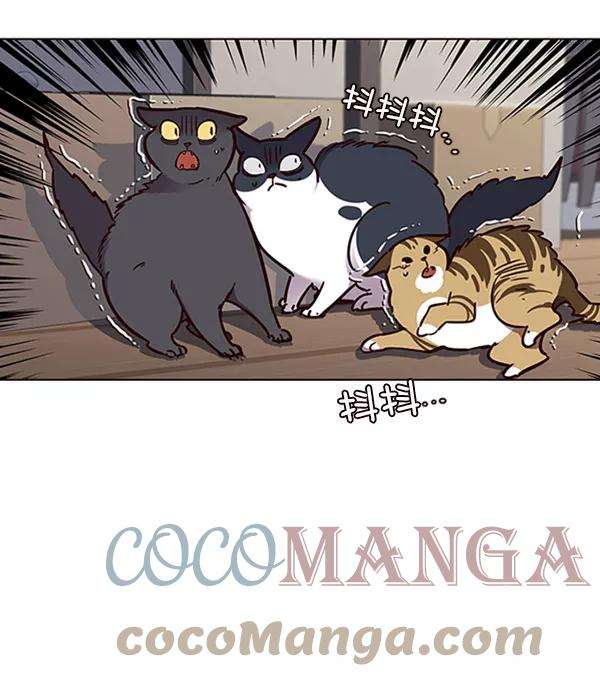 觉醒吧，铲屎官！58话