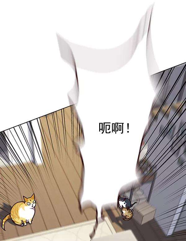觉醒吧，铲屎官！58话