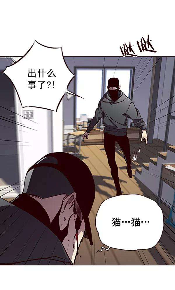 觉醒吧，铲屎官！58话