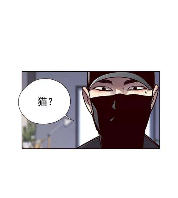 觉醒吧，铲屎官！58话