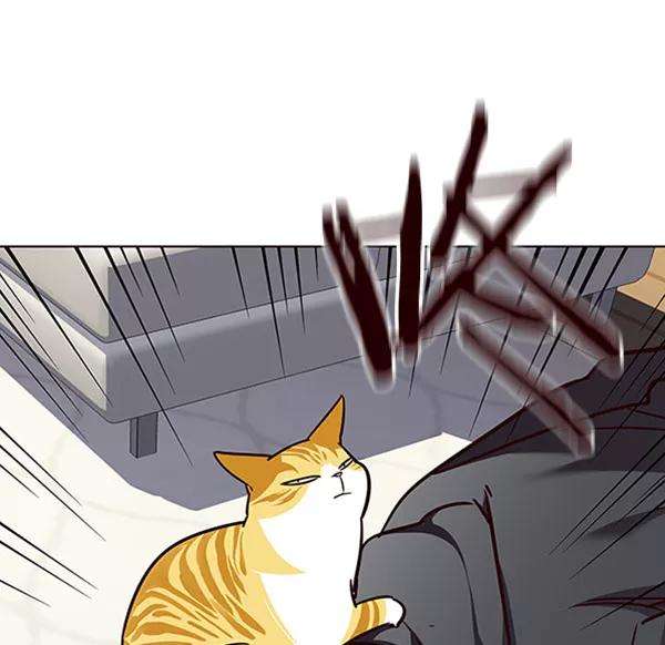 觉醒吧，铲屎官！58话