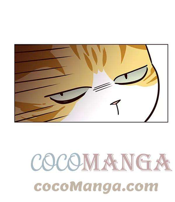 觉醒吧，铲屎官！58话