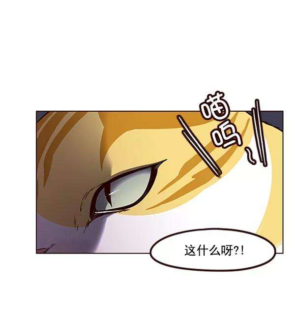 觉醒吧，铲屎官！58话