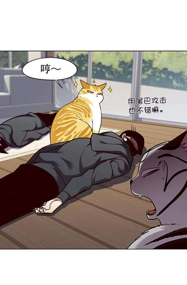 觉醒吧，铲屎官！58话