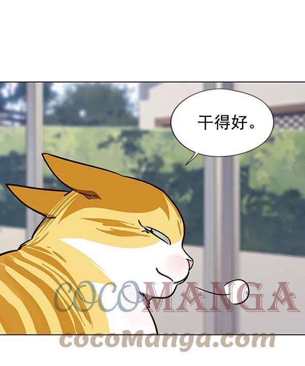 觉醒吧，铲屎官！58话