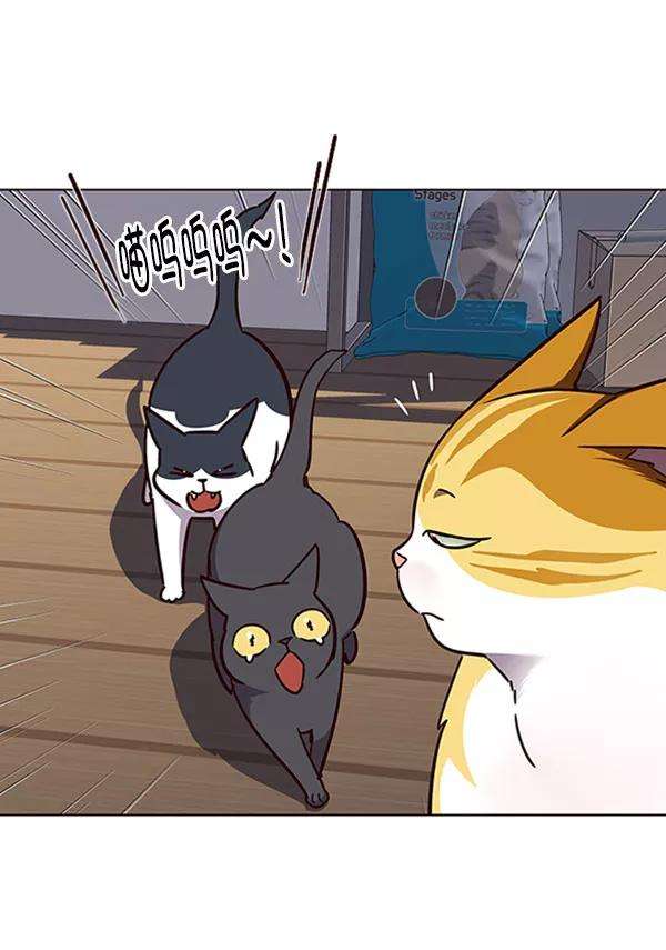 觉醒吧，铲屎官！58话