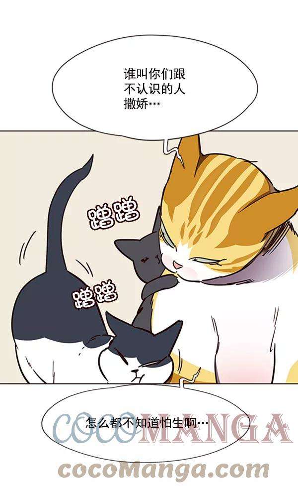 觉醒吧，铲屎官！58话