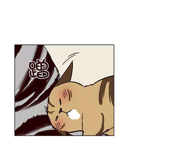 觉醒吧，铲屎官！58话