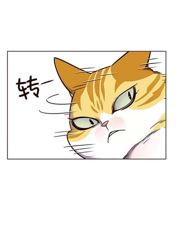 觉醒吧，铲屎官！58话