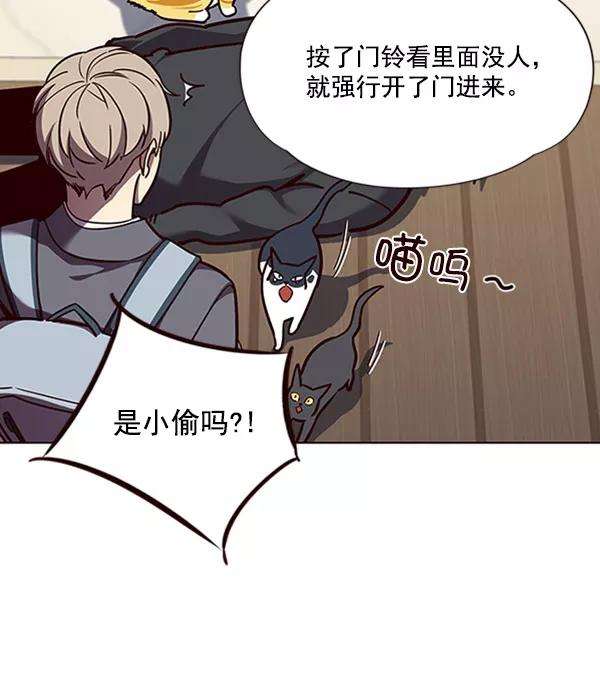 觉醒吧，铲屎官！58话