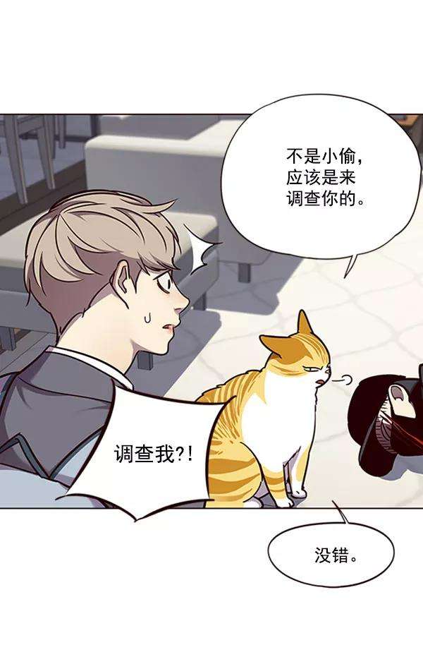觉醒吧，铲屎官！58话