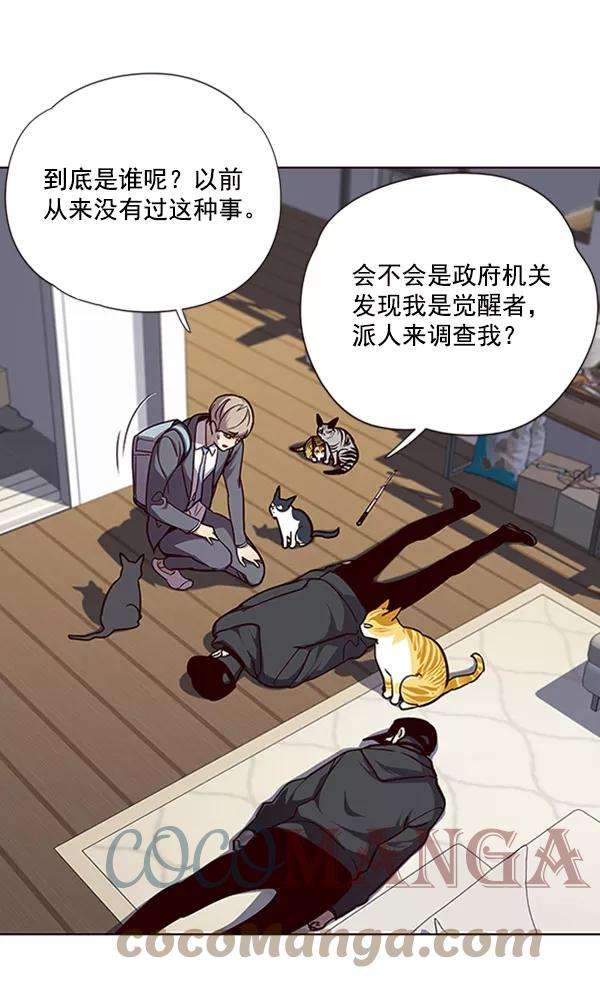 觉醒吧，铲屎官！58话