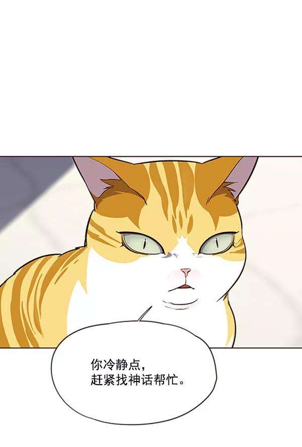 觉醒吧，铲屎官！58话