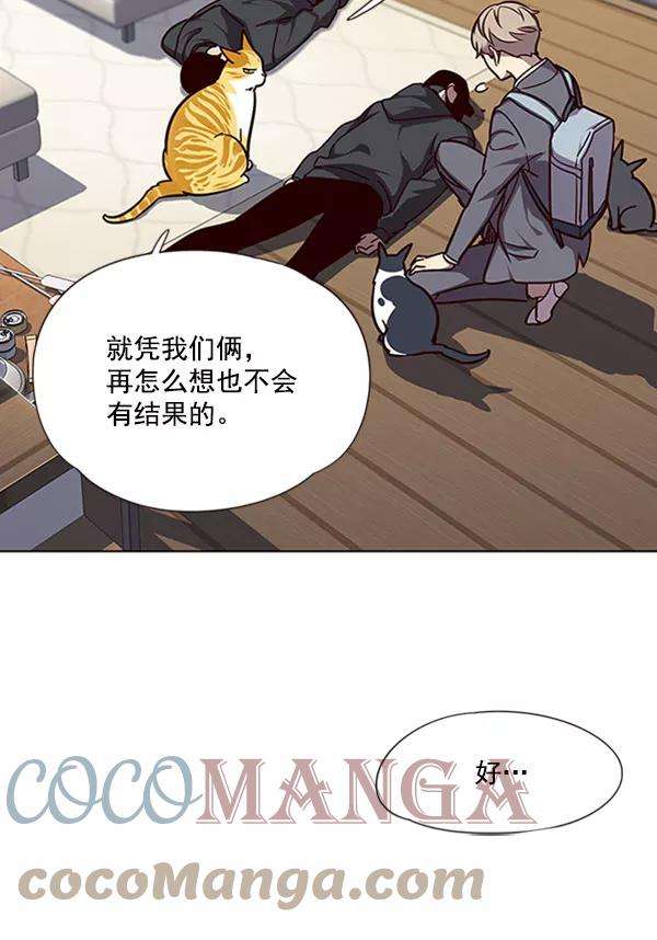 觉醒吧，铲屎官！58话