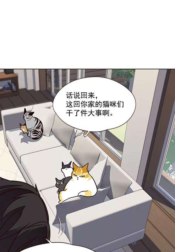觉醒吧，铲屎官！58话