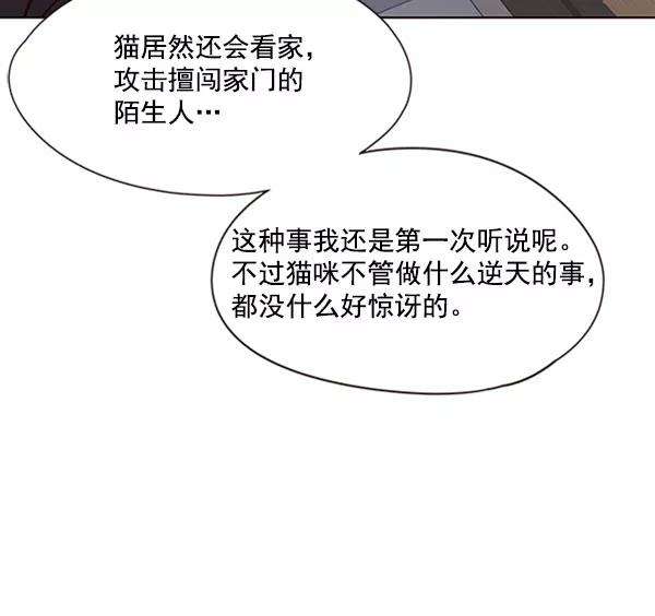 觉醒吧，铲屎官！58话