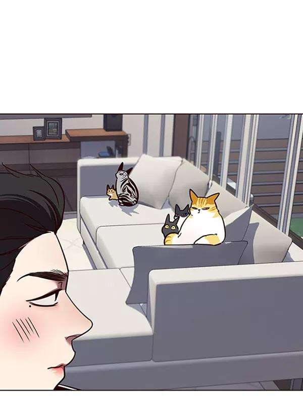 觉醒吧，铲屎官！58话