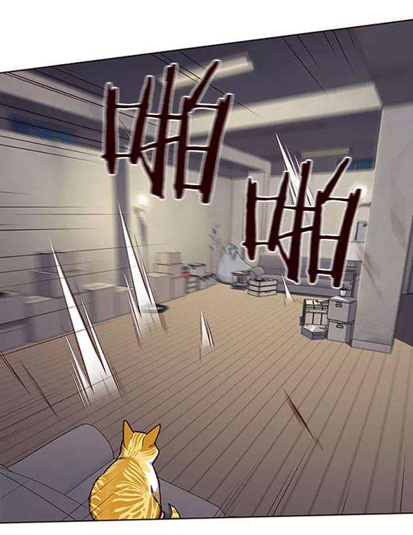 觉醒吧，铲屎官！59话