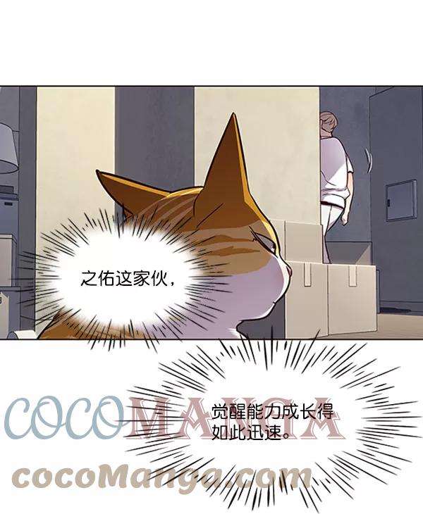 觉醒吧，铲屎官！59话