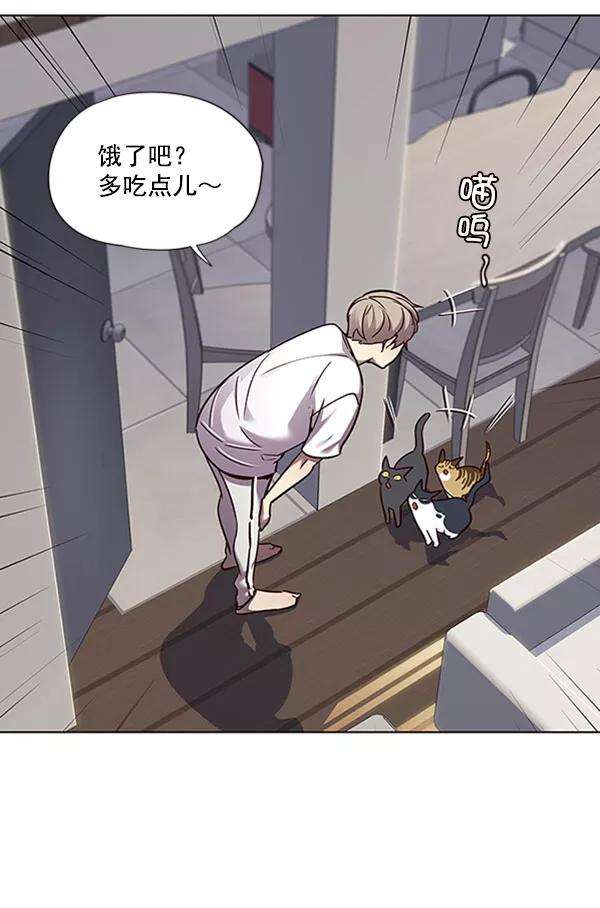 觉醒吧，铲屎官！59话