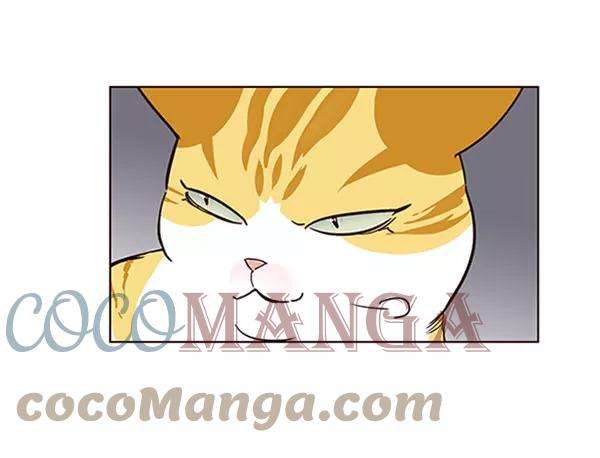 觉醒吧，铲屎官！59话