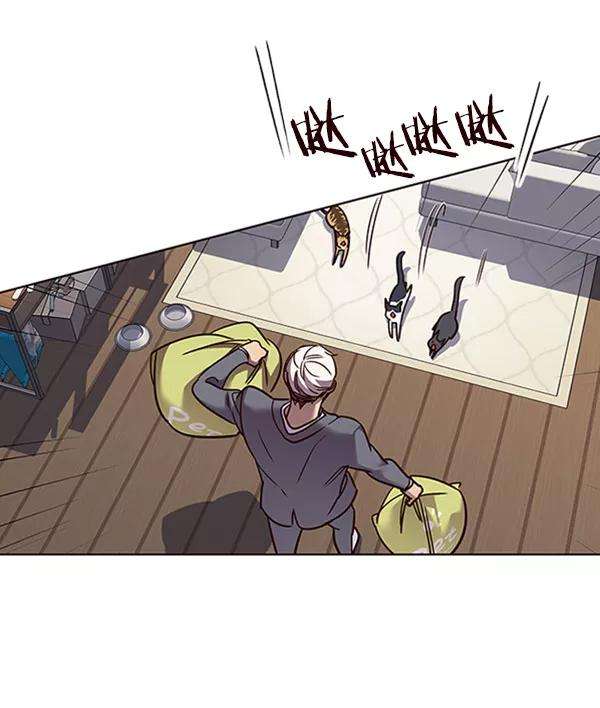 觉醒吧，铲屎官！60话