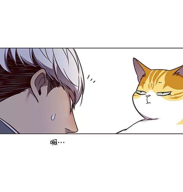 觉醒吧，铲屎官！60话