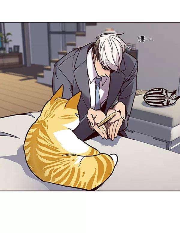 觉醒吧，铲屎官！60话