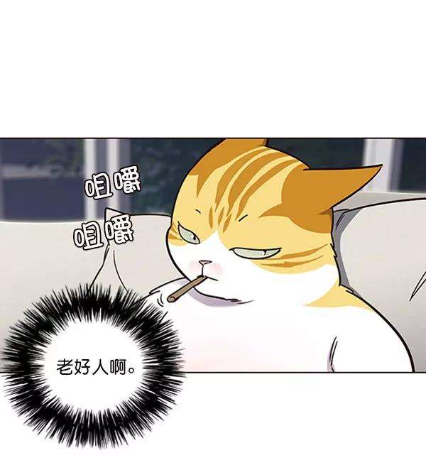觉醒吧，铲屎官！61话