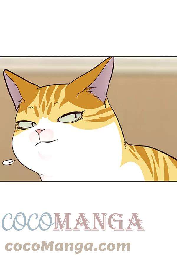 觉醒吧，铲屎官！61话