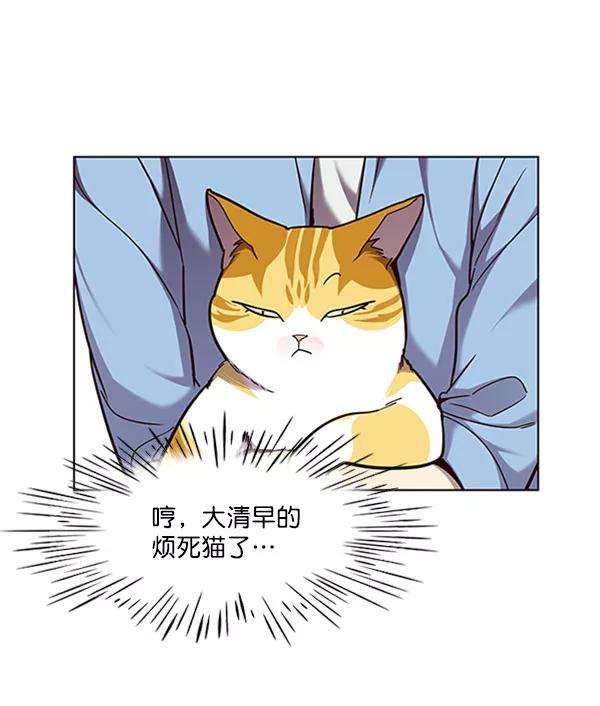 觉醒吧，铲屎官！62话