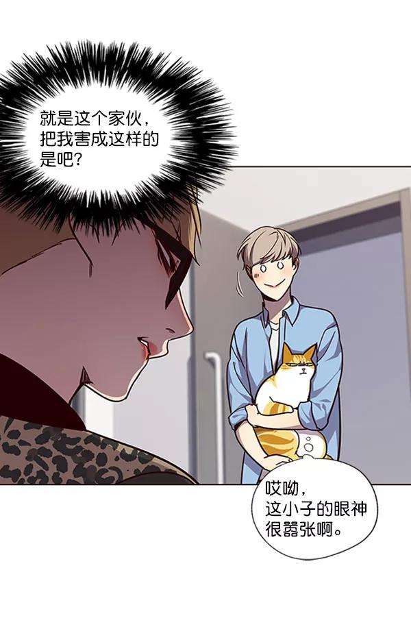 觉醒吧，铲屎官！62话