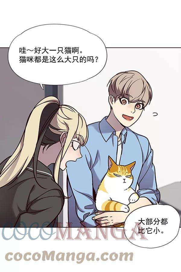 觉醒吧，铲屎官！62话