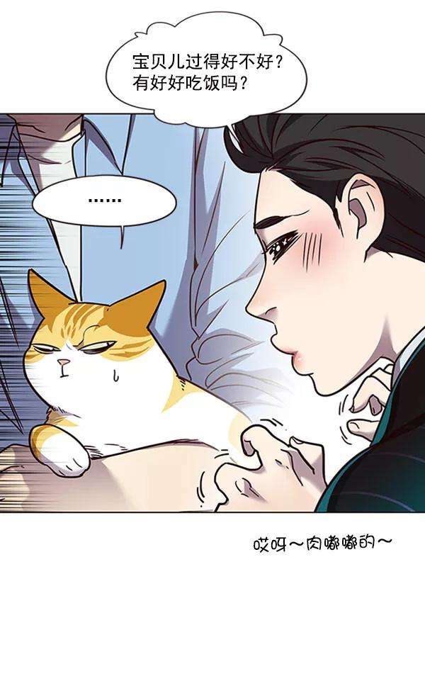 觉醒吧，铲屎官！62话