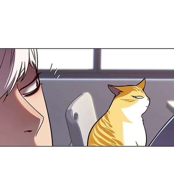 觉醒吧，铲屎官！62话