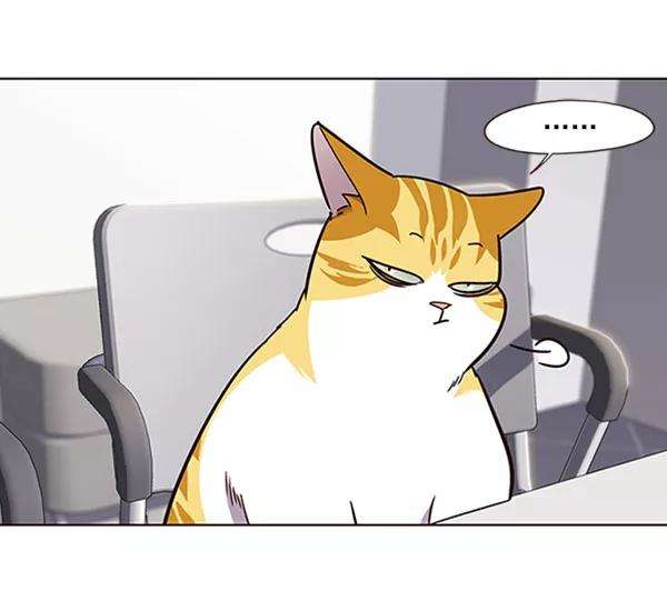 觉醒吧，铲屎官！62话