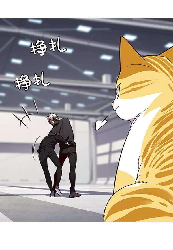 觉醒吧，铲屎官！63话