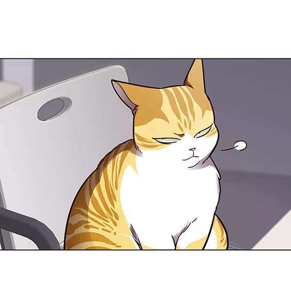 觉醒吧，铲屎官！63话