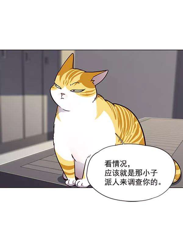 觉醒吧，铲屎官！63话