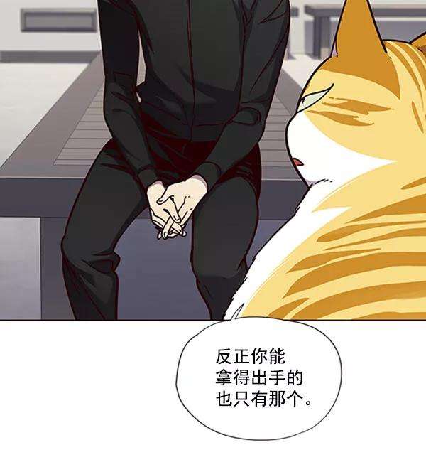 觉醒吧，铲屎官！63话