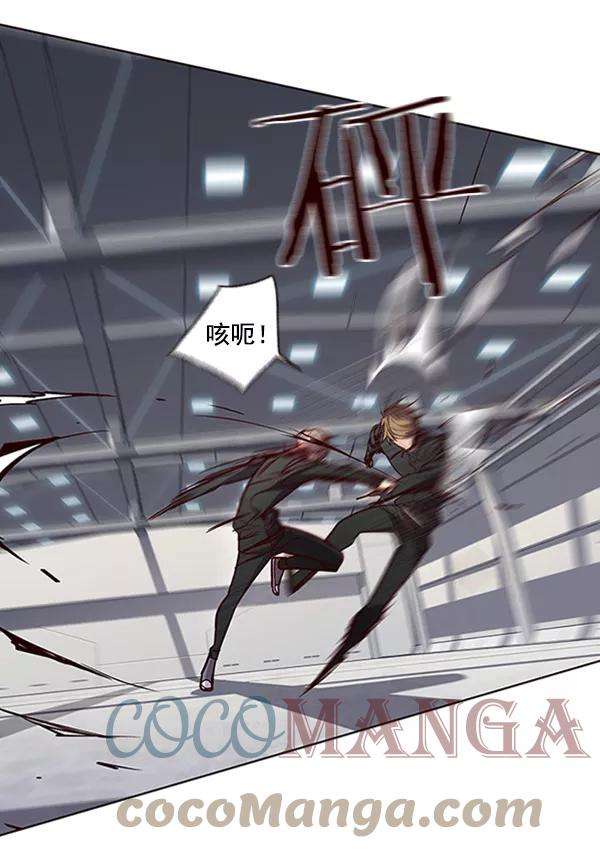 觉醒吧，铲屎官！63话